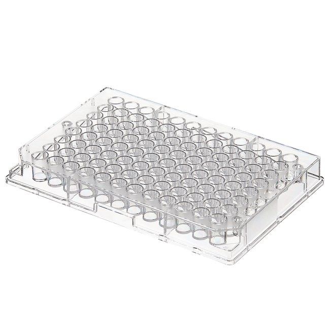 Thermo Scientific™ Clear Flat-Bottom Immuno Nonsterile 96-Well Plates,  400μL, MaxiSorp