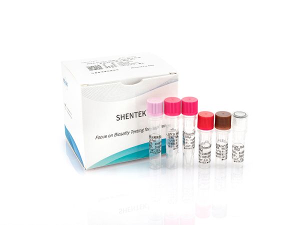 SHENTEK® Residual E1B DNA Quantitation Kit 