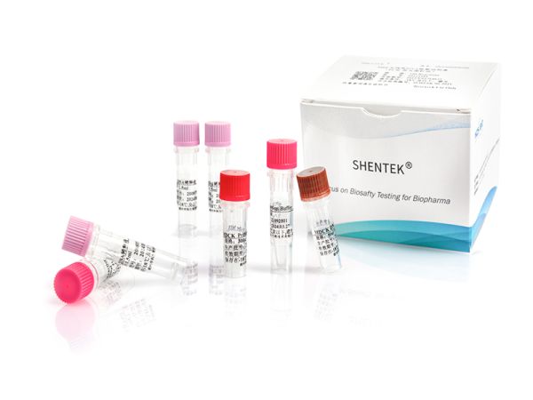 SHENTEK® Residual MDCK DNA Quantitation Kit 