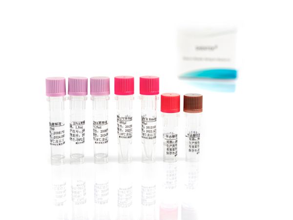 SHENTEK® Residual Pichia pastoris DNA Quantitation Kit 