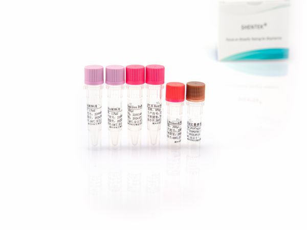 SHENTEK® Residual CV-1 DNA Quantitation Kit 