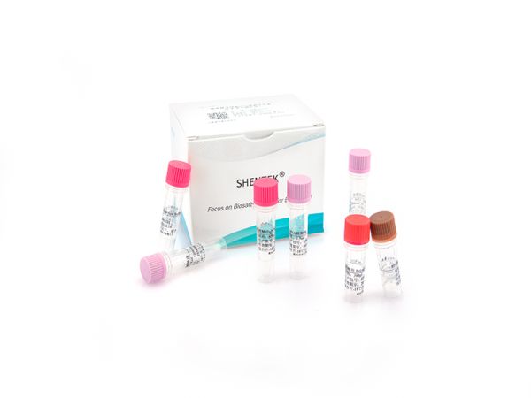 SHENTEK® Residual Saccharomyces cerevisiae DNA Quantitation Kit