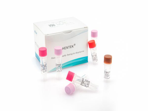 SHENTEK® Residual Vero DNA-154 Quantitation Kit