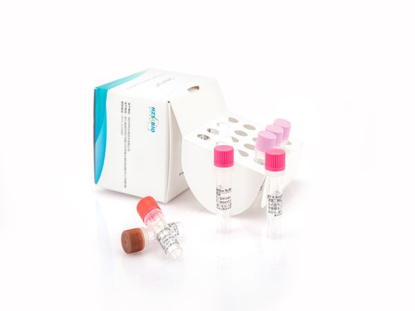 SHENTEK® Residual NS0 & SP2/0 DNA Quantitation Kit