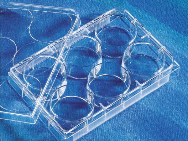 Costar 6 Well Clear, Tissue Culture-Treated Multiple Well Plates with Lid, Sterile, Individually Wrapped, 50/Case