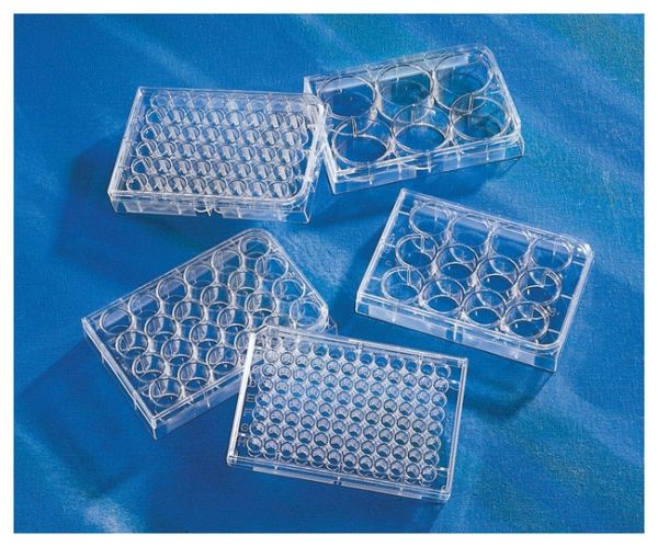 Costar 96 Well Clear Flat Bottom, Polystyrene, Tissue Culture-Treated Microplates with Lid, Sterile, Individually Packaged, 50/Case