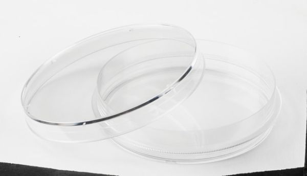 100mm TC dish, w gripping ring (300/Cs)