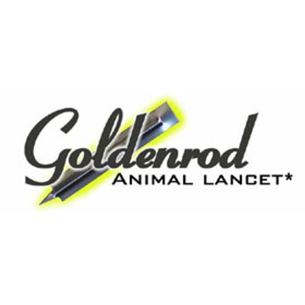 Goldenrod Animal Lancet 3mm 1000pcs/PK