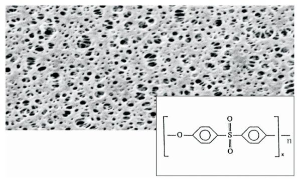 MEMBRANE DISC PES 100PK