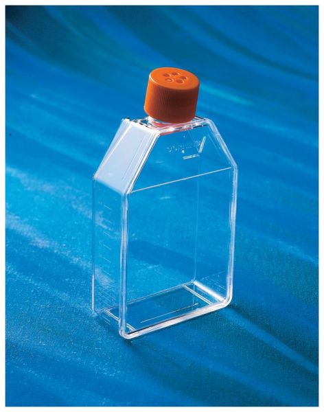 Cell Culture Treated Flasks, 1L, 5/Pk