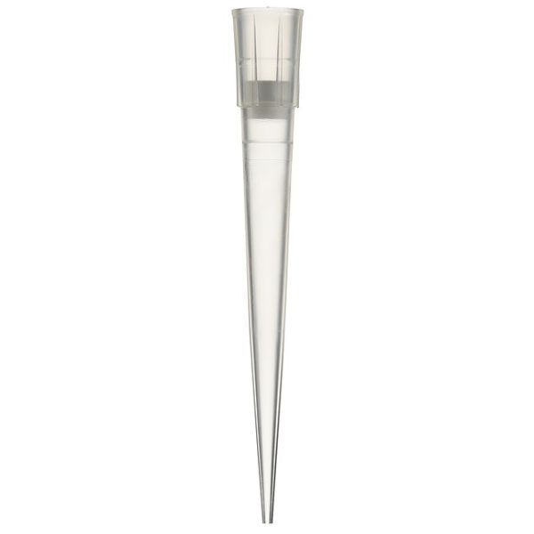 FILTed Pipet Tips > 200µL, 960/cs