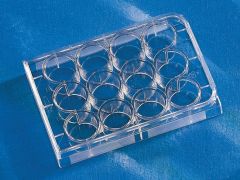 Costar 12 Well  Clear Tissue Culture-Treated Multiple Well Plates with Lid, Sterile, Individually Wrapped, 50/Case