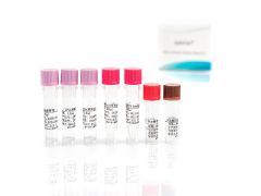 SHENTEK® Residual Pichia pastoris DNA Quantitation Kit 