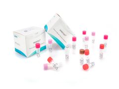 SHENTEK® Residual HPV18 E6/E7 DNA Size Analysis Kit 