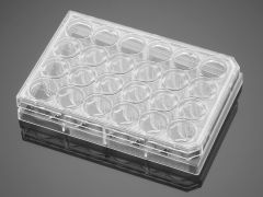 Falcon 24 Well Clear Flat Bottom,  Tissue Culture-Treated Multiwell Cell Culture Plate with Lid, Non-Pyrogenic, Sterile, Individually Packaged, 1/Tray, 50/Case