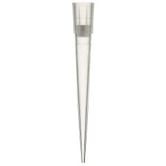 FILTed Pipet Tips > 200#L, 960/cs