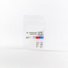 FastCellular Senescence Detection Kit, 1 kit
