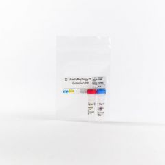 FastMitophagy Detection Kit, 1 kit