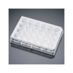 Corning™ BioCoat™ Fibronectin Multiwell Plate, 5/CS