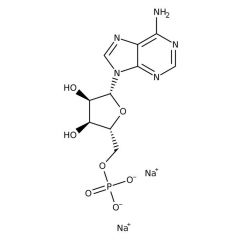 Adenosine-5-monophosphate disodium salt 5g-FROZEN