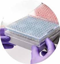 Thermo Scientific Nunc™ Plastic CryoBox with Divider      