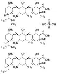 Gentamicin sulfate solution (50 mg gentamicin base per mL), 10 X 10 mL size, 10 x 10 mL