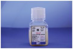 FETAL BOVINE SERUM, CELLectGOLD, 100 mL