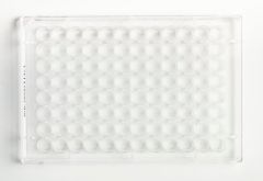 Fisherbrand™ Surface Treated  96-Well Tissue Culture Plates, Flat bottom