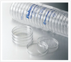 Fisherbrand™ Petri Dishes with Clear Lid (140mmx15mm), 100/CS