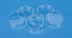 Borosilicate Glass Petri Dishes, 120mm (Dia)