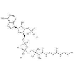 Coenzyme A Trilithium Salt Dihydrate, 96%, Fisher BioReagents
