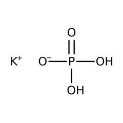  Phosphorus Standard, 10ppb (10μg/L) P, Ricca Chemical