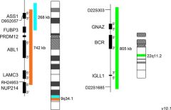  MetaSystems™ XL BCR/ABL1/ASS DNA Probe
