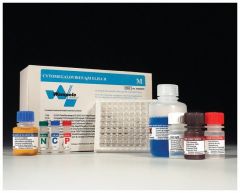 Alere Cytomegalovirus ELISA Tests