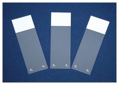 Fisherbrand™ Superfrost™ Excell™ Microscope Slides