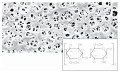 Sartorius™ Regenerated cellulose (RC) Membrane Filters