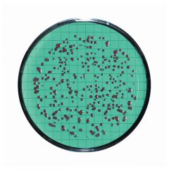 Sartorius™ Nutrient Pad Sets (NPS) 47mm diameter