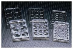 Falcon™ Polystyrene Microplates