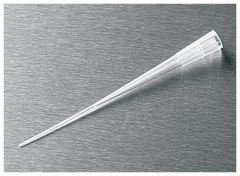 Corning™ Gel-Loading Pipet Tips, Round tip, 0.5mm