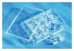 Corning™ Transwell™ Multiple Well Plate with Permeable Polycarbonate Membrane Inserts