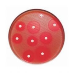 BD BBL™ Sensi-Disc™ Antimicrobial Susceptibility Test Discs, Cefamandole11