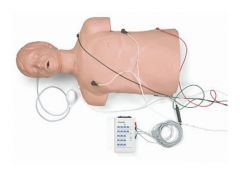 Simulaids™ Defibrillation/CPR Trainer
