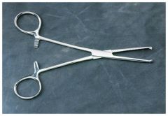 Fisherbrand™ Hemostats Rochester-Ochsner Forceps