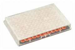 Axygen Microplate Sealing Film Sterile 500/cs