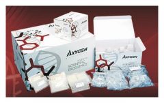  Axygen™ DNA Marker Kit