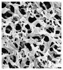 MilliporeSigma™ Durapore™ PVDF Membrane Filters: Hydrophilic: 0.10μ Pore Size