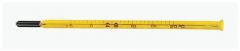 Fisherbrand™ Blood Bank Thermometer