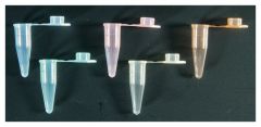 Axygen™ PCR Tubes with Flat Cap, 0.2mL