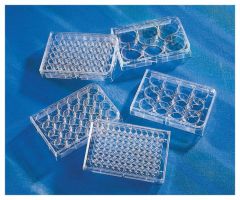 Corning™ Costar™ Flat Bottom Cell Culture Plates