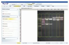UVP Doc-It™ LS Analysis Software